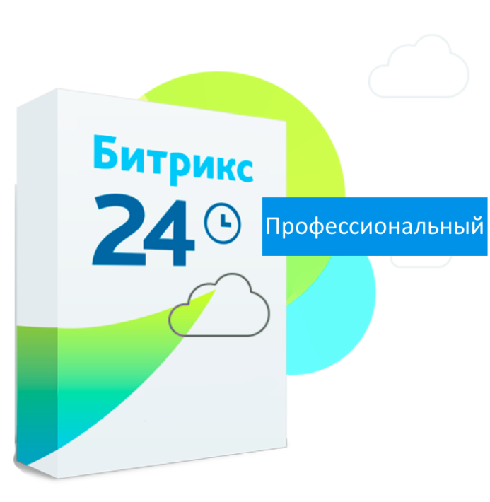 Профессиональный